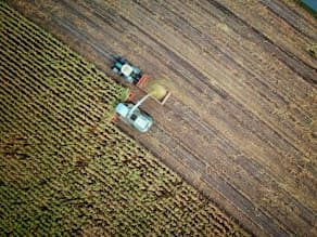 Navigating Canada’s Primary Agriculture Stream in the TFWP