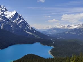 Alberta Advantage Immigration Program: Pathways to Success