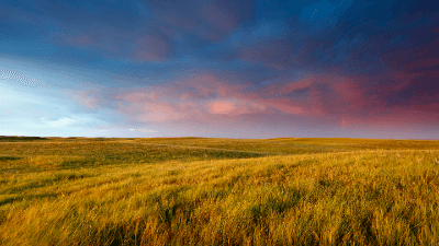 Understanding Saskatchewan’s Immigrant Nominee Program (SINP