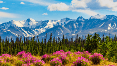 Yukon Nominee Program: Pathways to Residency Success